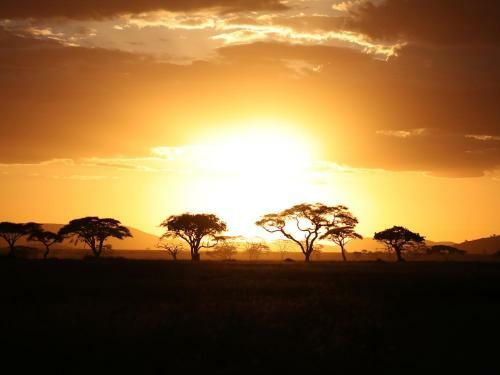 Lodge One Nature Nyaruswiga Serengeti