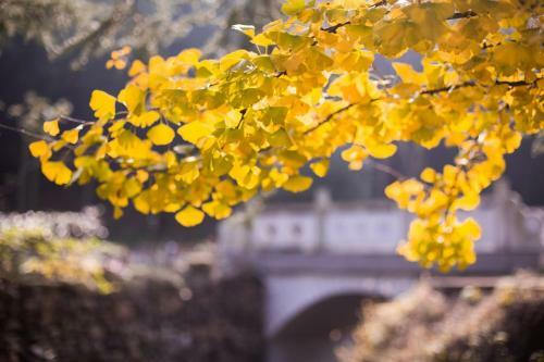 Hostal Blooming Lotus. Countryside Villa.yixing