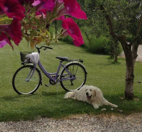 Agroturismo Agriturismo Casa Aurora