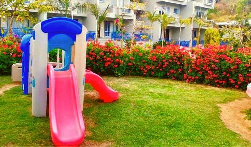 Hotel Hummingbird Resort