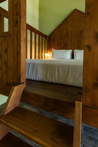Forest B&B