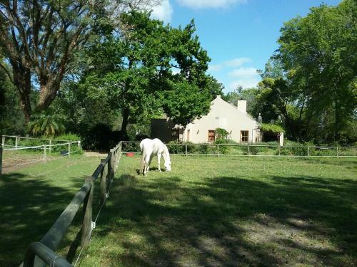 Hostal Languedoc
