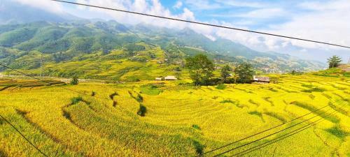 Hoa's Homestay Sapa