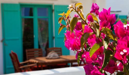 Naoussa Bay Villas