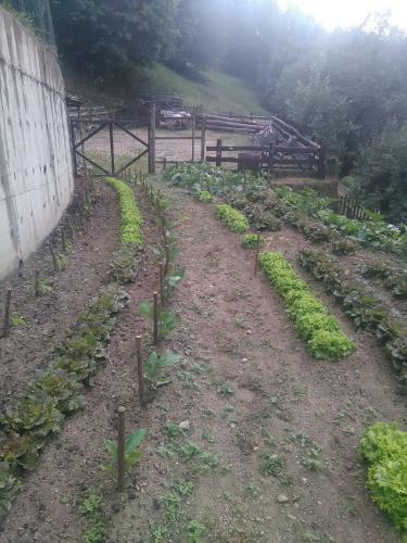 Agroturismo Agriturismo Fiorendo