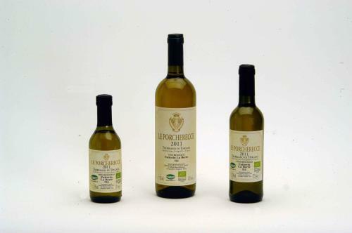 Agroturismo Tenuta Scacciavolpe
