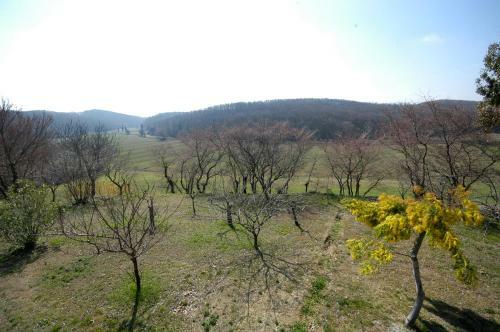 Agroturismo Tenuta Scacciavolpe