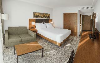 Hotel Hilton Garden Inn Tbilisi