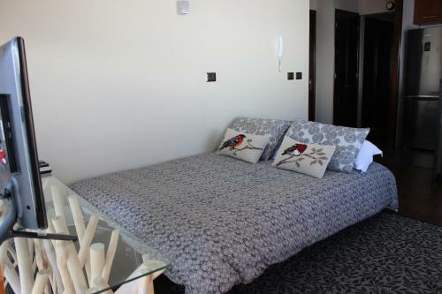 Valle Nevado Vip Apartment Ski Out-in