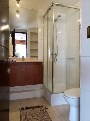 Valle Nevado Vip Apartment Ski Out-in