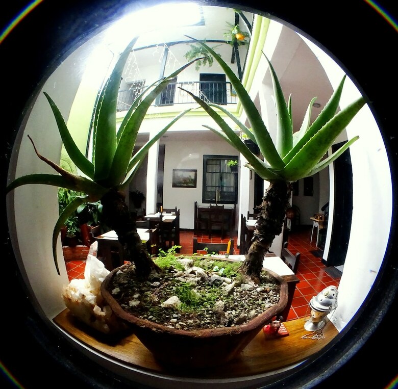 Hostal Belen