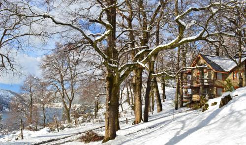 Hotel Paihuen - Resort De Monta�a