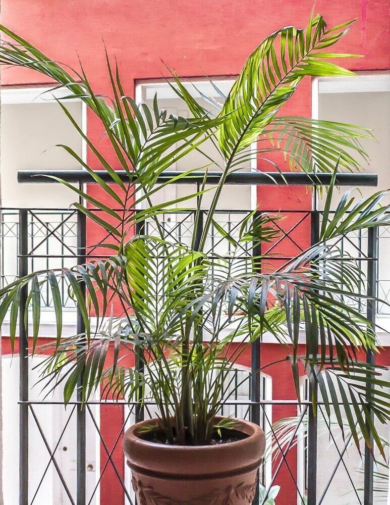 Apartamentos Conde Ibarra Central By Valcambre