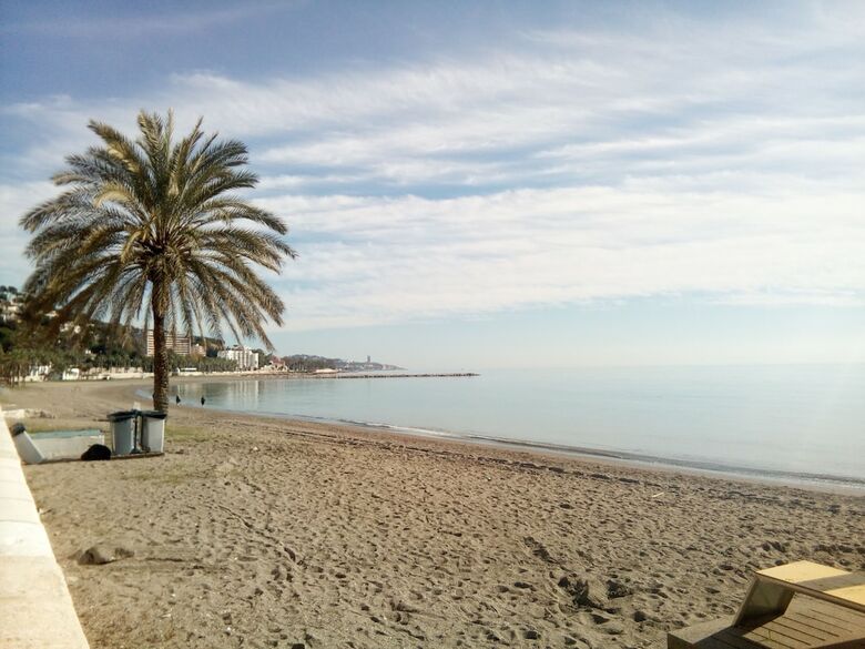 Apartamento Malagueta Campos El�seos