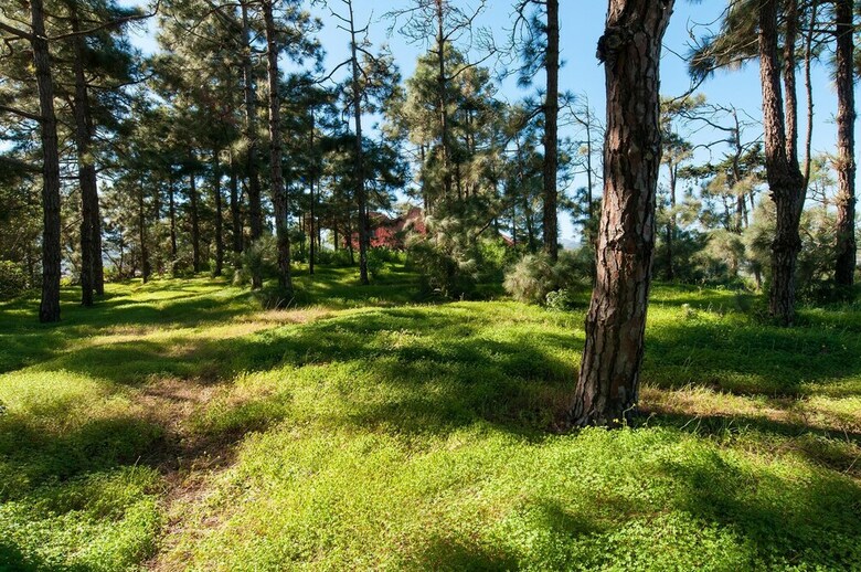 Villa Mansi�n En Bandama Gran Canaria