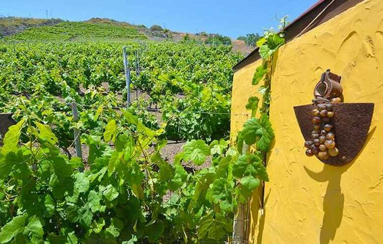 Tafira Alta Vineyard Volcanic Apartment