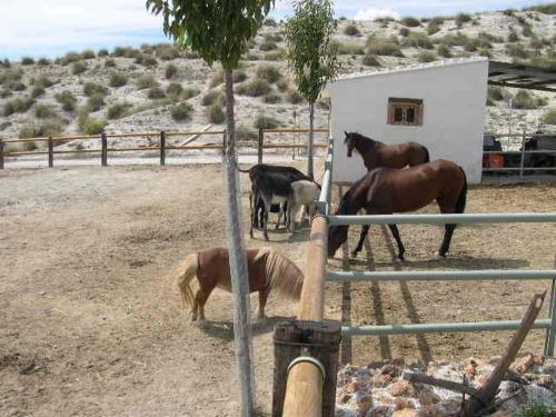 Apartamento Casas Rurales Victoria