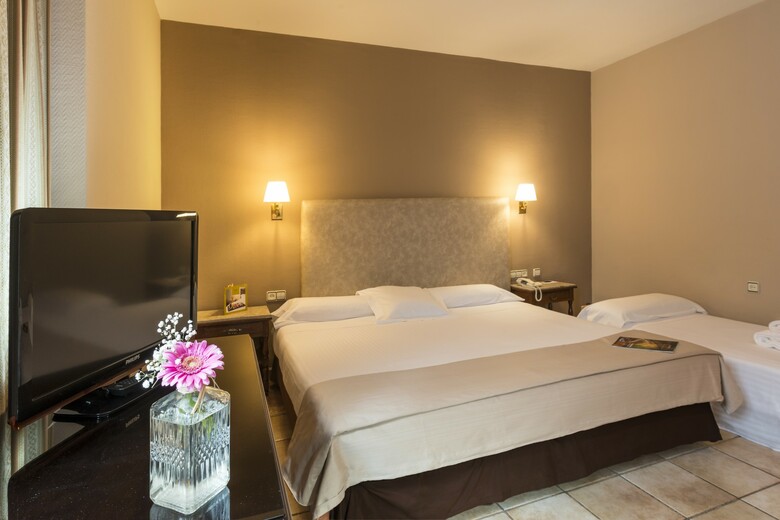 Hotel Exe Alfonso Viii