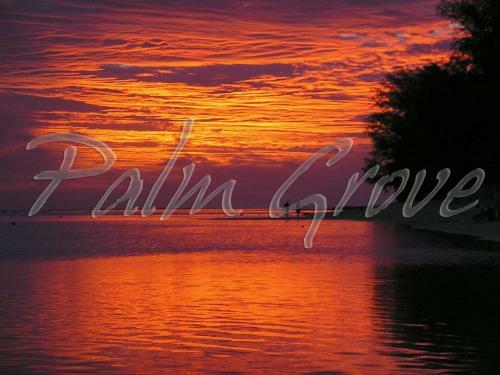 Hotel Palm Grove