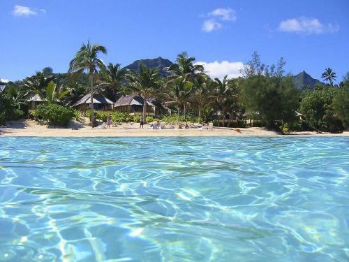 Hotel Palm Grove