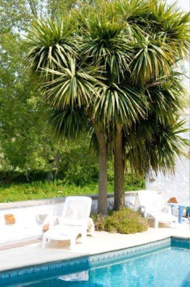 Talana Hotel