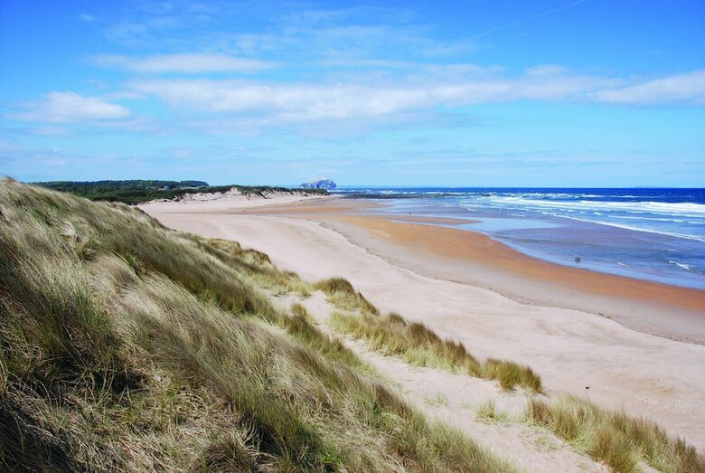 Cabana Harvest Moon Treehouse
