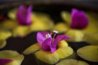 Fragrance Angkor Boutique Hotel