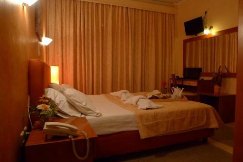 Hotel Ikaros