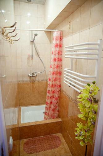 Cherry Hostel