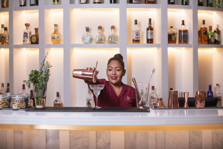 Hotel Majestic Elegance Costa Mujeres