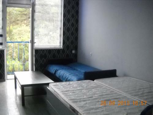 Cosmos Hostel