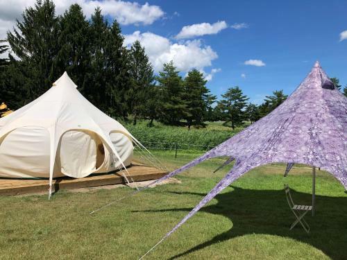 Lotusbellvillage - Vacation Stay 64764v