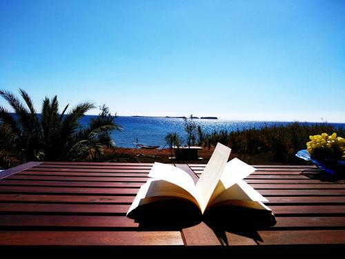 Alekos Beach Houses-caretta