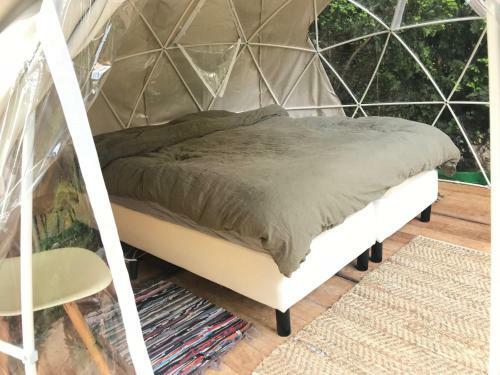 Vintage Caravans, Lange Haven Schiedam