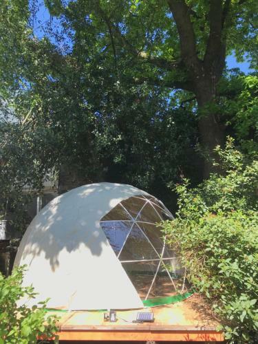 Vintage Caravans, Lange Haven Schiedam