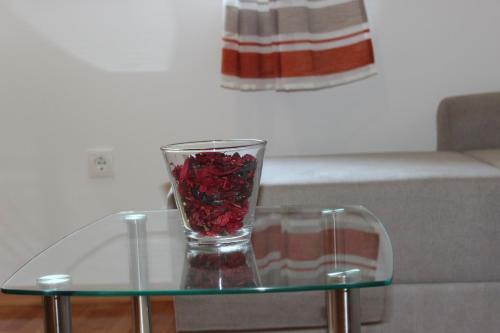 Apartment Penga