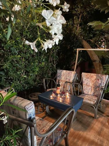 Garden Apartment