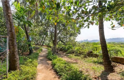 Hotel Infinity Lake View 6bhk Bungalow With Private Pool