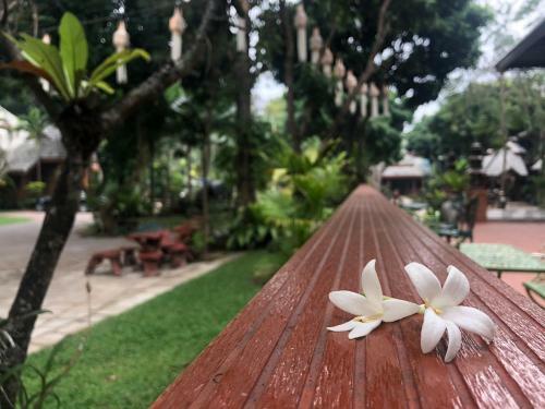 Hotel Romsak Lanna Resort Chiang Mai