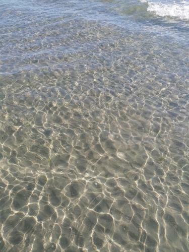 Apartament Rebel Everyday Mamaia Nord