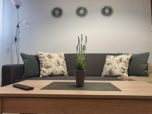Hotel Luna-boutique Guest Rooms