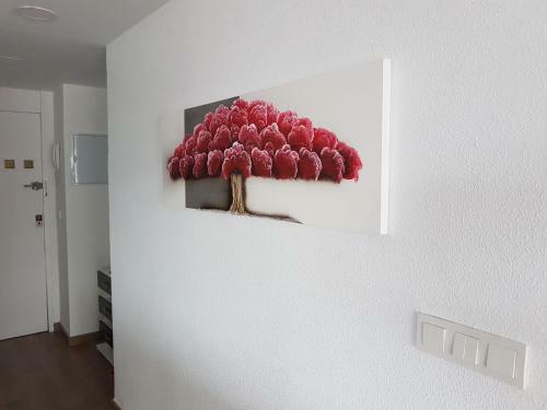 Your Perfect Beach Apartment Carivoguest