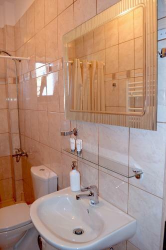Hotel Anesis