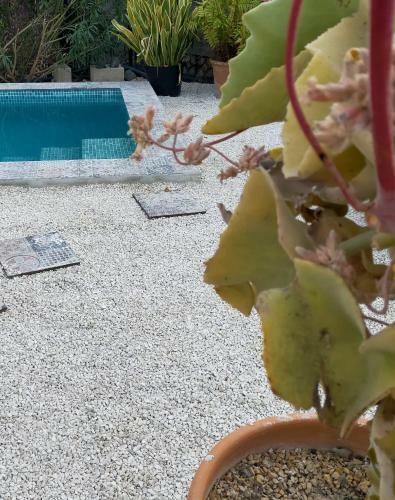Casa Eline Altea Piscina Privada Y Jardin