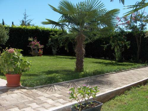 Villa Brigita