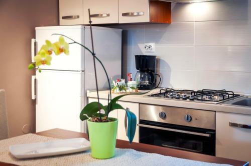 Apartment Pino