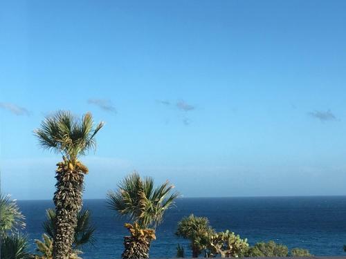 Apartamento Cap Sa Sal Turquesa