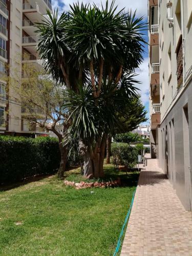 Apartamento Espacioso En Segunda Linea de Playa