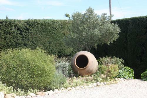 Bed & Breakfast Finca Los Bancales