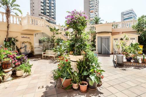 Apartamento Beferent Torreprincipado Benidorm